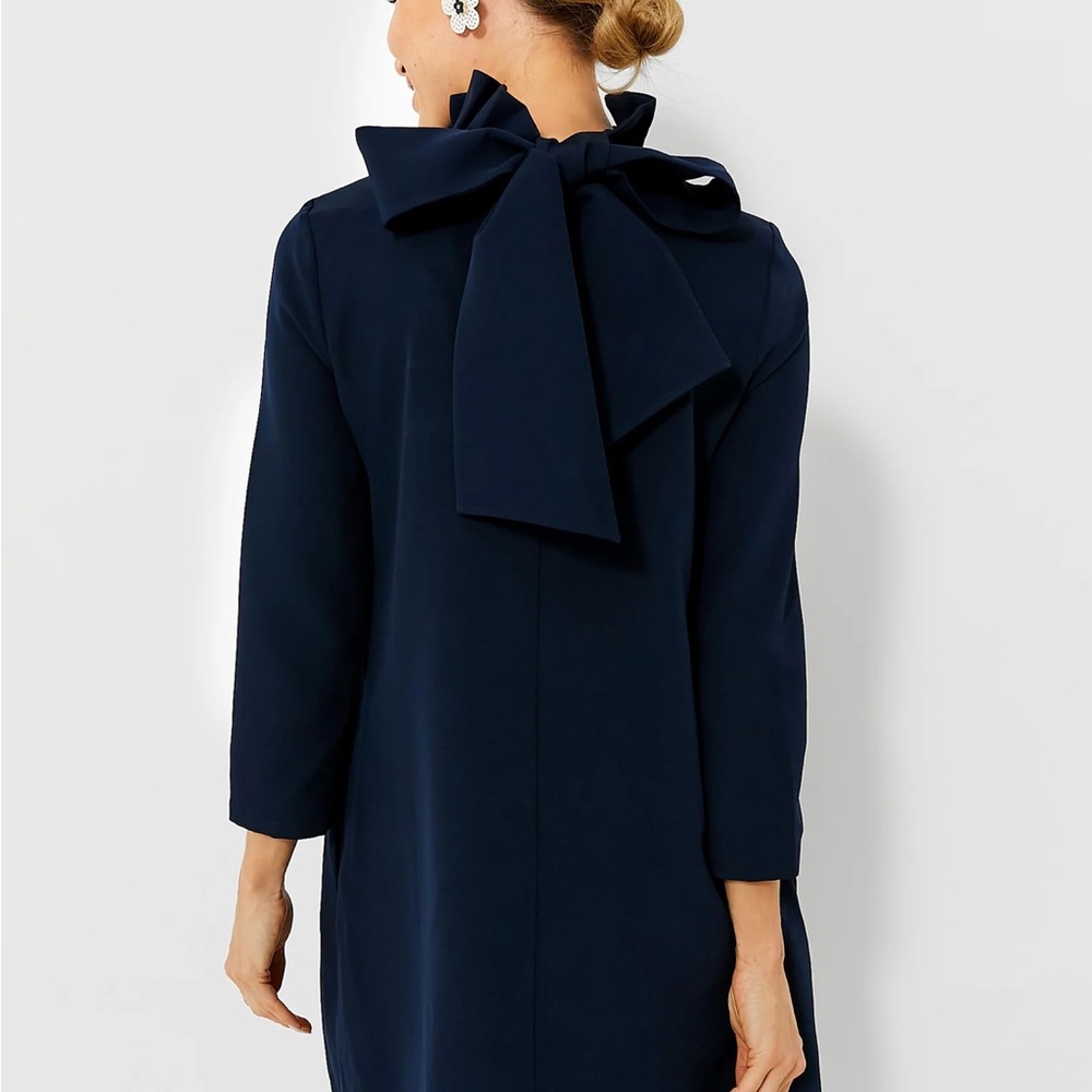 Tuckernuck Navy Daphne Dress